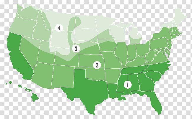 Tubelite Inc. Alaska Colorado Map Federal government of the United States, pine needle frame transparent background PNG clipart