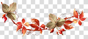 Autumn Auglis , acorn transparent background PNG clipart thumbnail