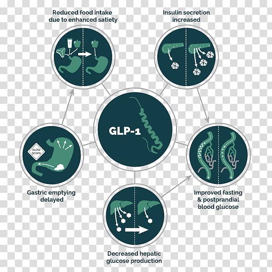 Glucagon-like peptide-1 receptor agonist Diabetes mellitus type 2, others transparent background PNG clipart