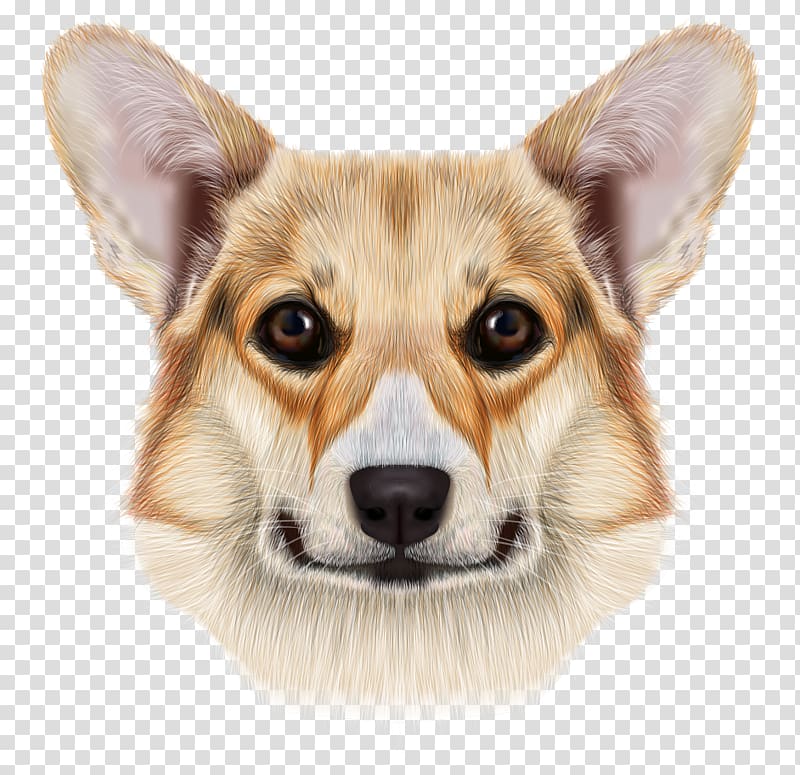 brown and white dog illustration, Pembroke Welsh Corgi Cardigan Welsh Corgi Pug Pomeranian, Exquisite hand-painted realistic cartoon dog\'s head transparent background PNG clipart