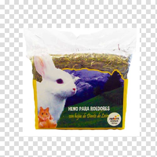 Clinica Veterinaria El Guirre Guinea pig Rabbit Animal Pet, rabbit transparent background PNG clipart