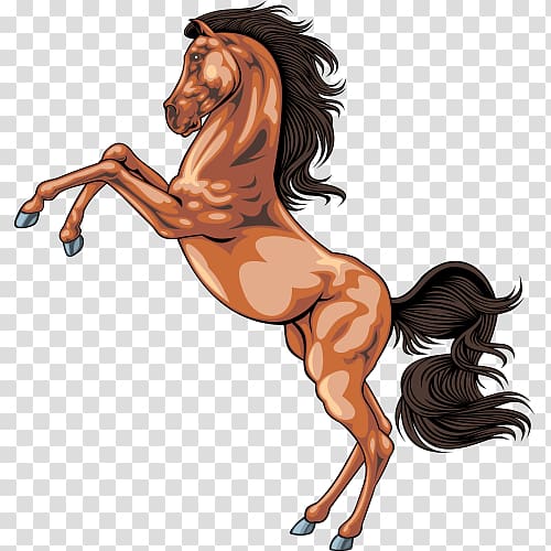 Icelandic horse Equestrianism Horse Facts , Pentium horse jumping transparent background PNG clipart