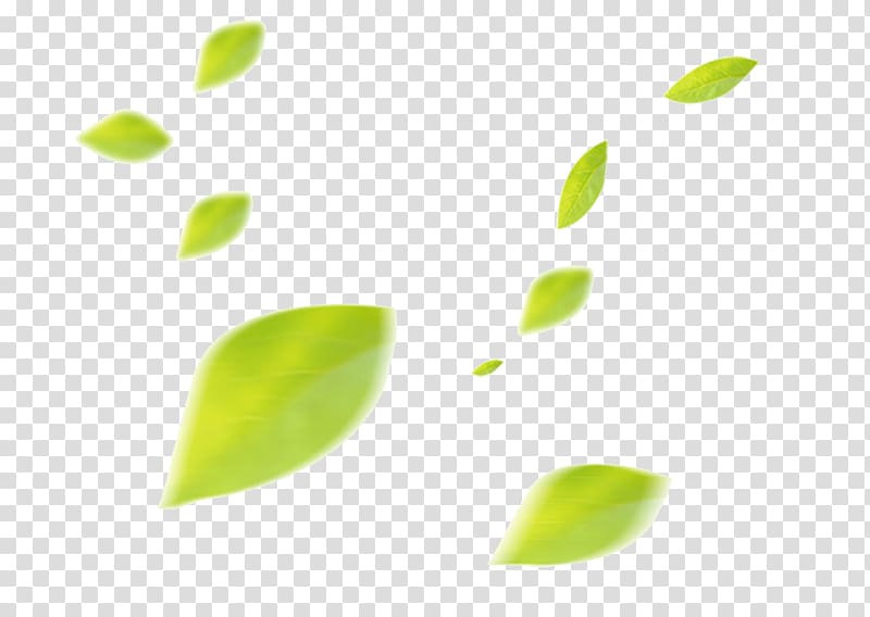 green leaves , Leaf, Floating Leaf transparent background PNG clipart