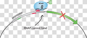 Line Point Technology Angle , line transparent background PNG clipart thumbnail