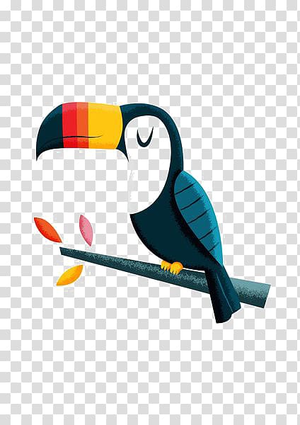 toucan bird , Bird Parrot Toucan Macaw, parrot transparent background PNG clipart