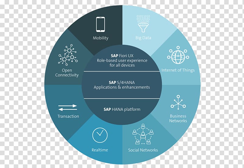 SAP S/4HANA SAP HANA SAP ERP SAP SE Business process, Business transparent background PNG clipart