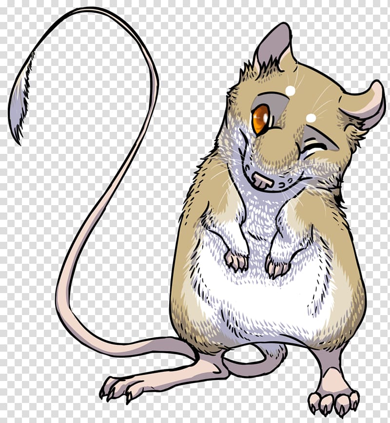 Mouse Ord\'s kangaroo rat Black rat Cat Giant kangaroo rat, kangaroo transparent background PNG clipart