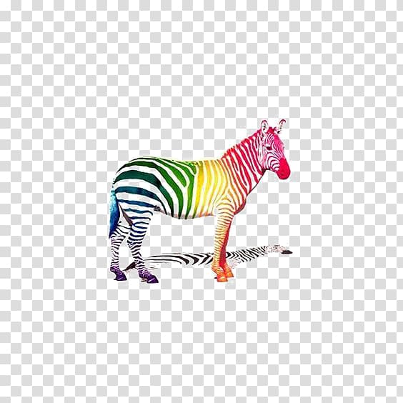 School of Visual Arts Zebra , zebra transparent background PNG clipart