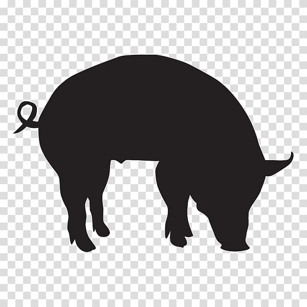 Domestic pig Intensive animal farming Live, pig transparent background PNG clipart