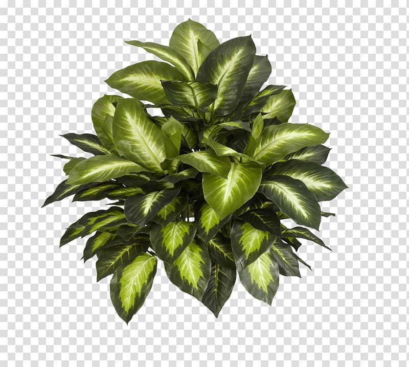 Plant Silk Artificial flower Areca palm, leafs transparent background PNG clipart