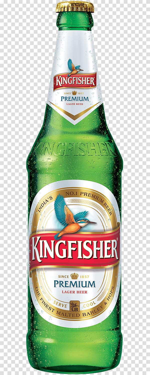 Lager Beer in India Kingfisher Distilled beverage, Kingfisher beer transparent background PNG clipart