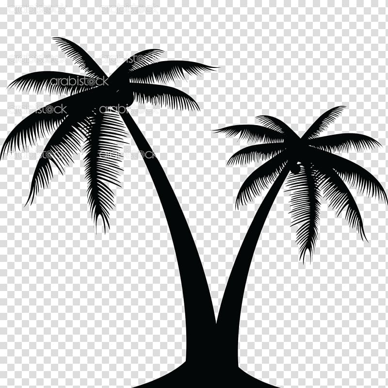black coconuts icon, Coconut graphics Portable Network Graphics Palm trees, coconut transparent background PNG clipart