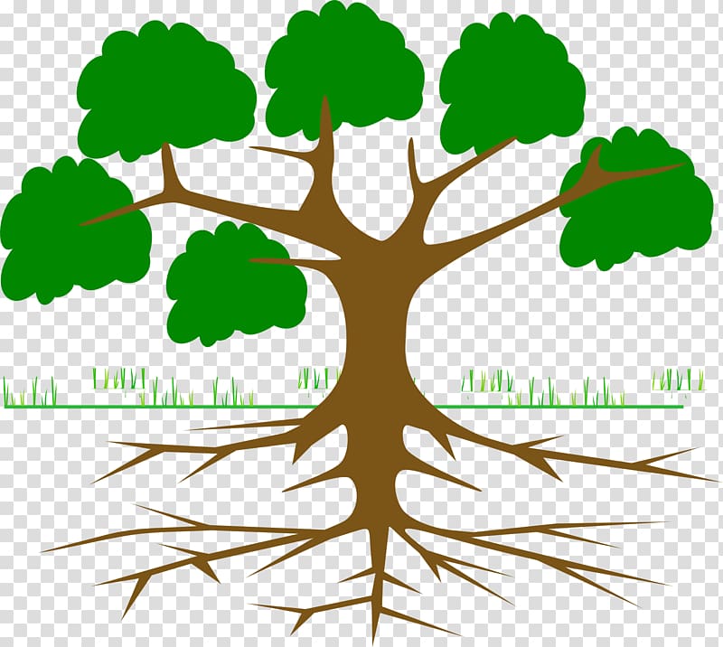 Root Tree , Cartoon crown trunk transparent background PNG clipart