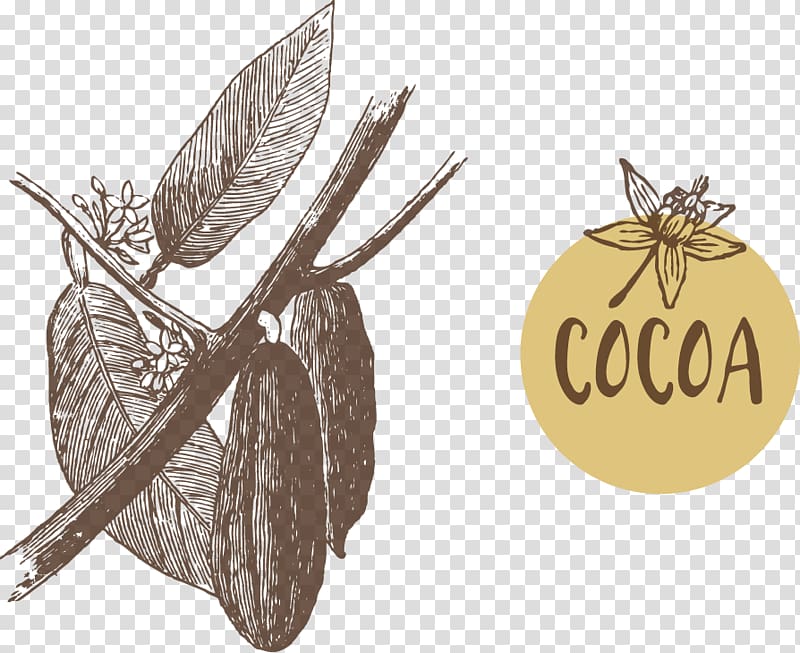 Fruit Cocoa bean Euclidean Theobroma cacao, Fruit of the cacao tree illustration transparent background PNG clipart