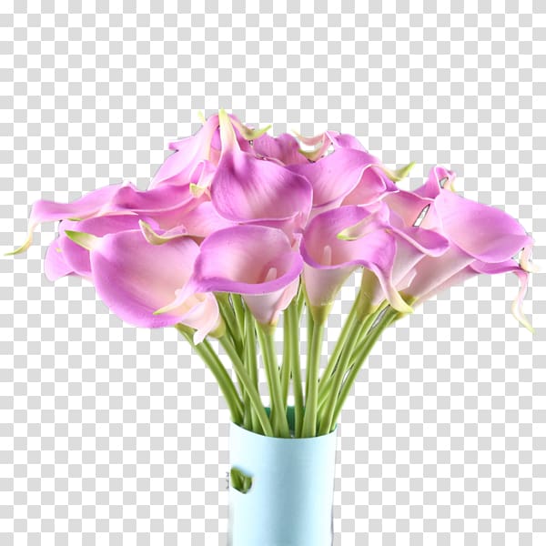 Flower Arum-lily , Purple calla transparent background PNG clipart