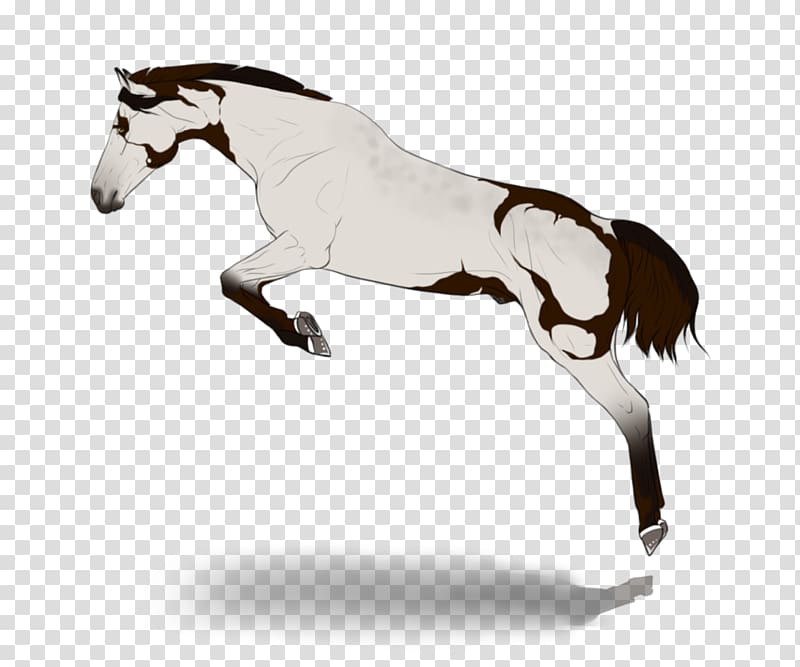 Mane Pony Stallion Mustang, ashen transparent background PNG clipart