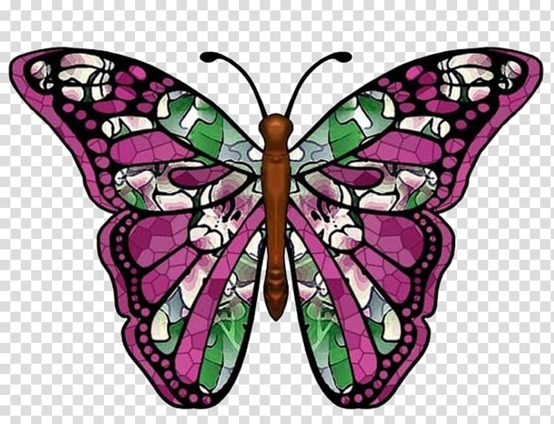 Butterfly Art Color , butterfly transparent background PNG clipart