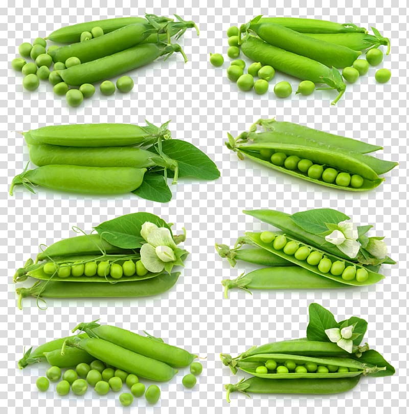 Snow pea Euclidean , A group of green peas transparent background PNG clipart