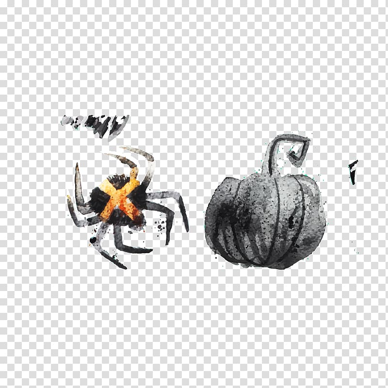 Halloween Jack-o\'-lantern Calavera Euclidean , Creative Halloween spider transparent background PNG clipart