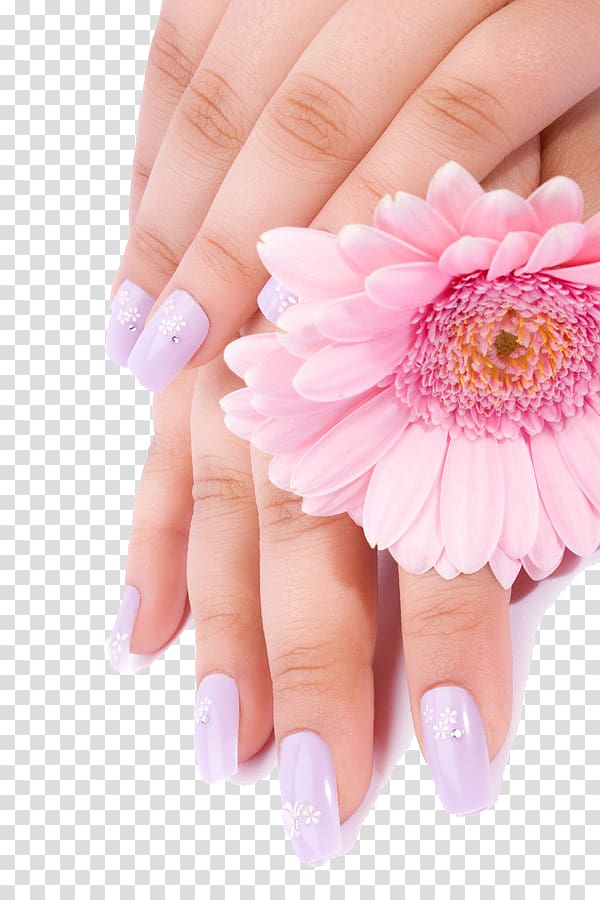 person holding pink gerbera daisy flower, Nail polish Nail salon Manicure Nail art, Creative Nail do nails transparent background PNG clipart