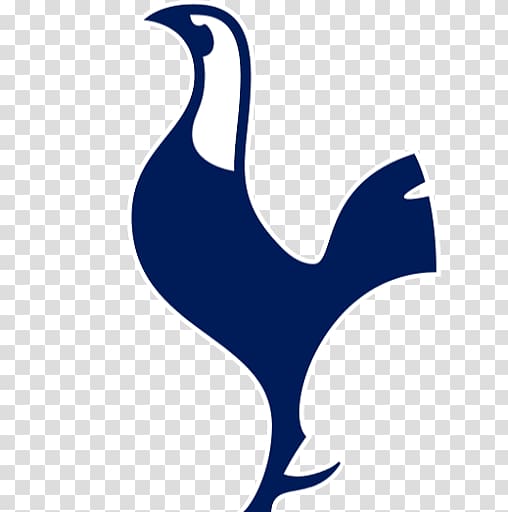 Tottenham Hotspur F.C. Premier League Football player Northumberland Development Project, premier league transparent background PNG clipart