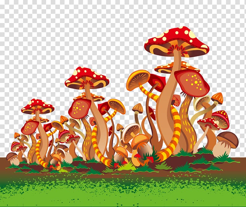 Euclidean magic Adobe Illustrator, Mushroom Jungle transparent background PNG clipart
