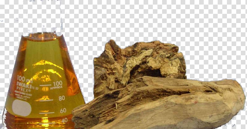 Indian sandalwood Australian Sandalwood Sandalwood oil Essential oil, oil transparent background PNG clipart