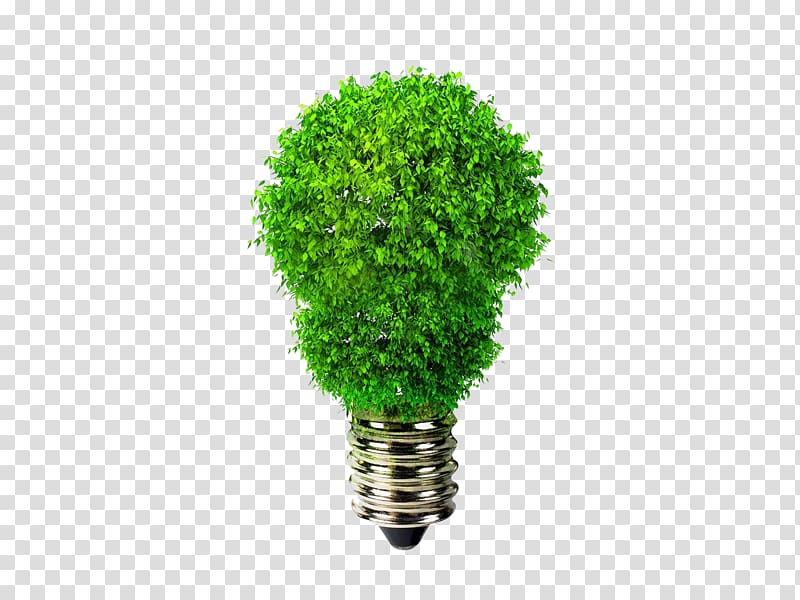 Incandescent light bulb Light-emitting diode Lamp Efficient energy use, green energy logo template transparent background PNG clipart