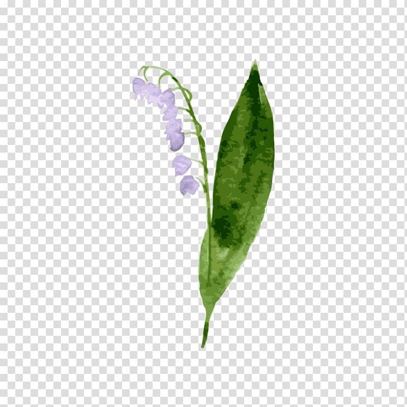 , Bellflower transparent background PNG clipart