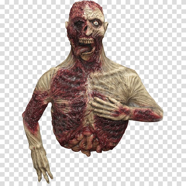 Zombie Cadaver Anatomy Body, zombie transparent background PNG clipart