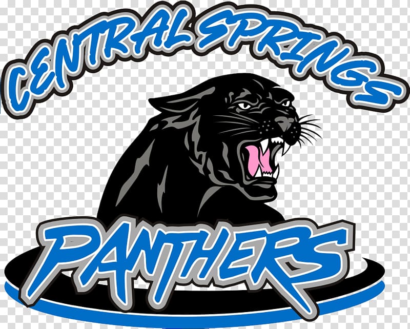 Central Springs High School National Secondary School Middle school Elementary school, school transparent background PNG clipart