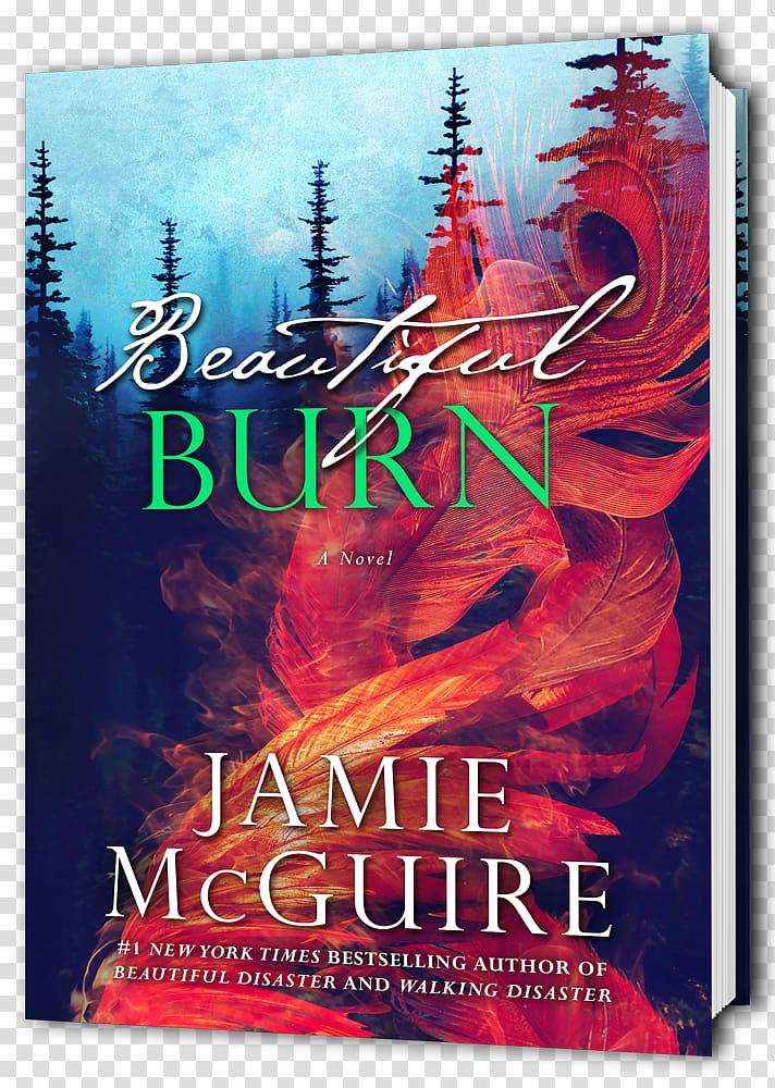 Beautiful Burn Beautiful Oblivion Beautiful Disaster Beautiful Redemption Something Beautiful: A Novella, burning books transparent background PNG clipart