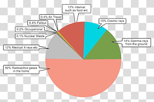 Background Radiation Pie Chart