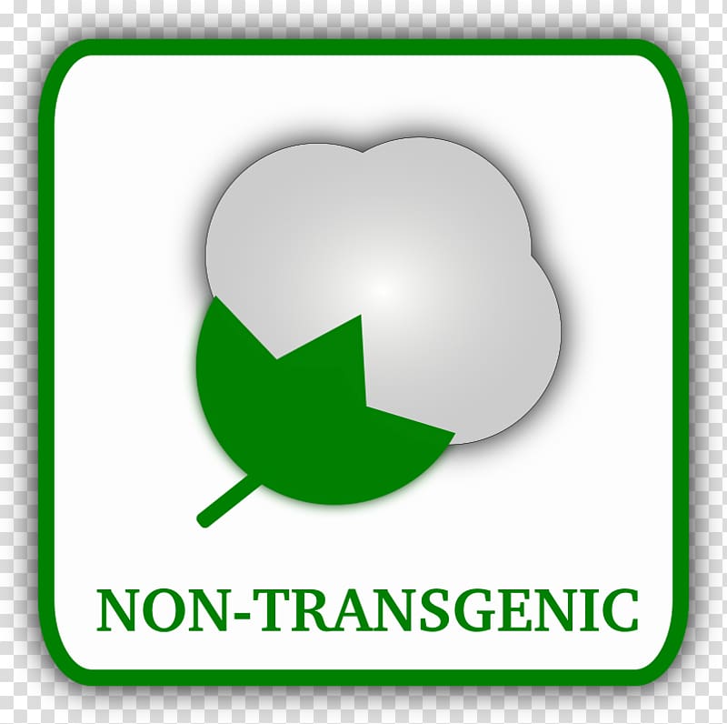 Cotton Transgene Genetically modified organism Agriculture , COTTON transparent background PNG clipart