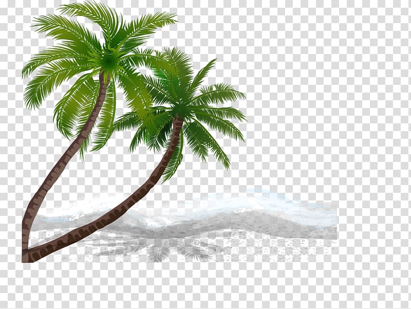 Beach Coconut, coconut trees transparent background PNG clipart