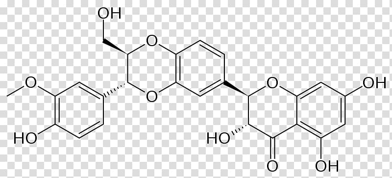 Milk thistle Silibinin Flavonolignan Antidote, Silymarin transparent background PNG clipart