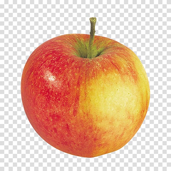 McIntosh Apple Organic food Pinova Pilot, apple transparent background PNG clipart