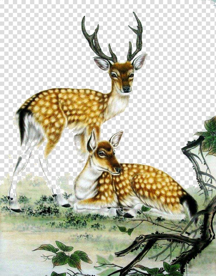 two deer illustrations, Sika deer Tiger Ink wash painting Chinese painting, Big angle sika deer transparent background PNG clipart