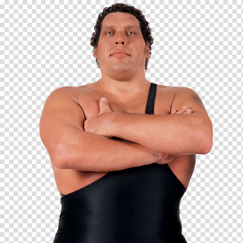 André the Giant Memorial Battle Royal Professional Wrestler WWE Professional wrestling, wwe transparent background PNG clipart