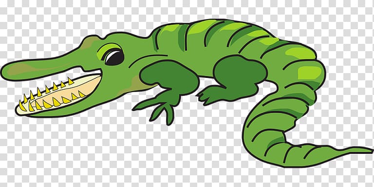 Alligator Cartoon Drawing , alligator transparent background PNG clipart
