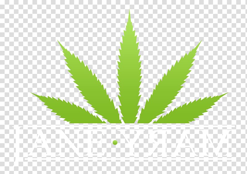 Marijuana Cannabis sativa Medical cannabis, pot leaf transparent background PNG clipart