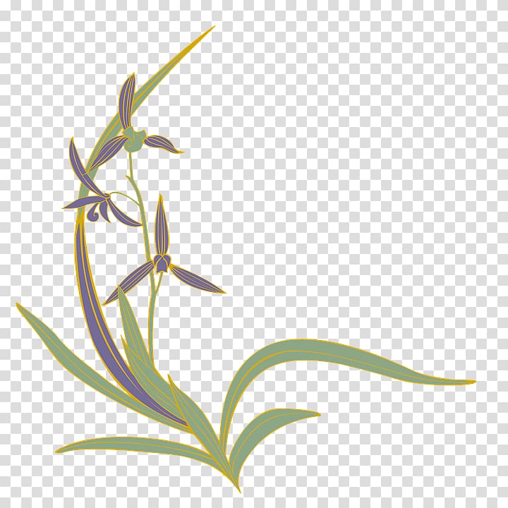 Flowering plant Portable Network Graphics Grasses Slipper orchids, flower transparent background PNG clipart