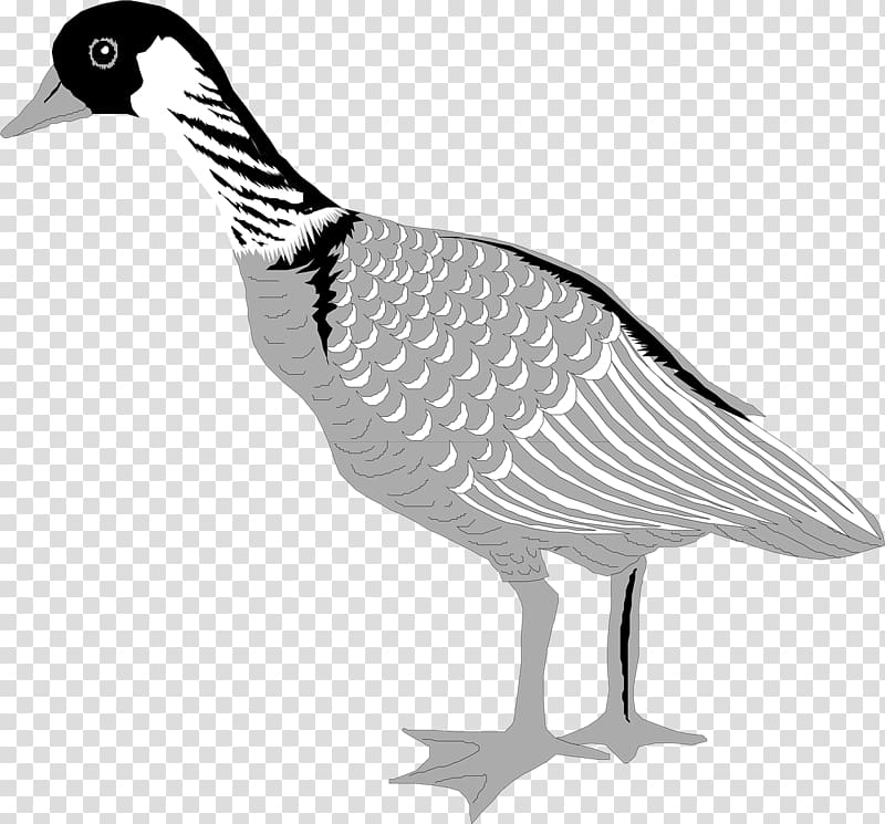 Domestic goose Duck Bird Greylag goose, Grey Goose transparent background PNG clipart