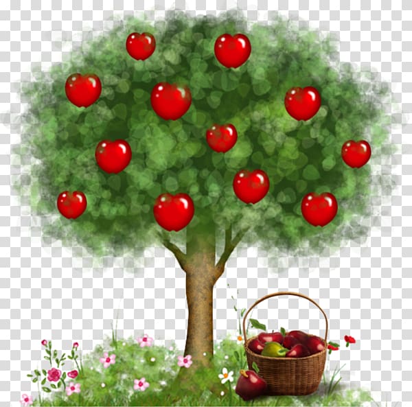 hand-painted apple tree transparent background PNG clipart