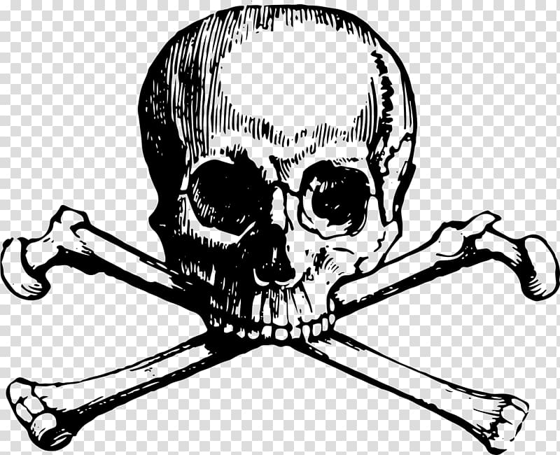 Skull and Bones Skull and crossbones , cartoon skull finger transparent background PNG clipart