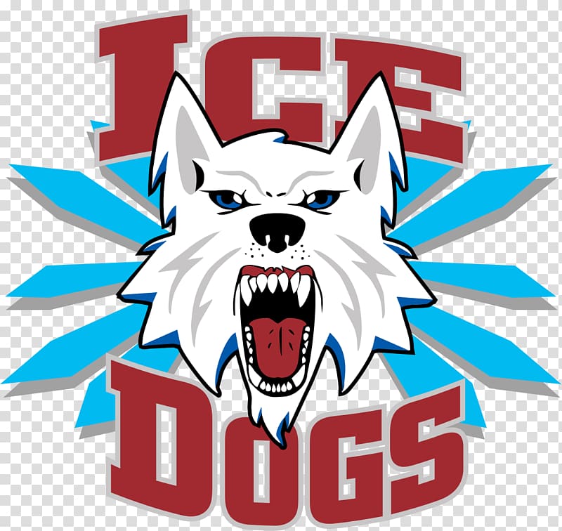 Big Dipper Ice Arena Fairbanks Ice Dogs Junior Hockey Springfield Jr. Blues Topeka RoadRunners, hockey puck transparent background PNG clipart