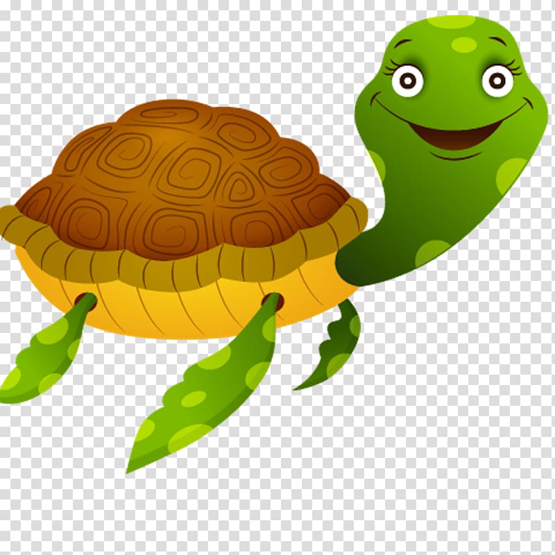 Tortoise Sea turtle, turtle transparent background PNG clipart