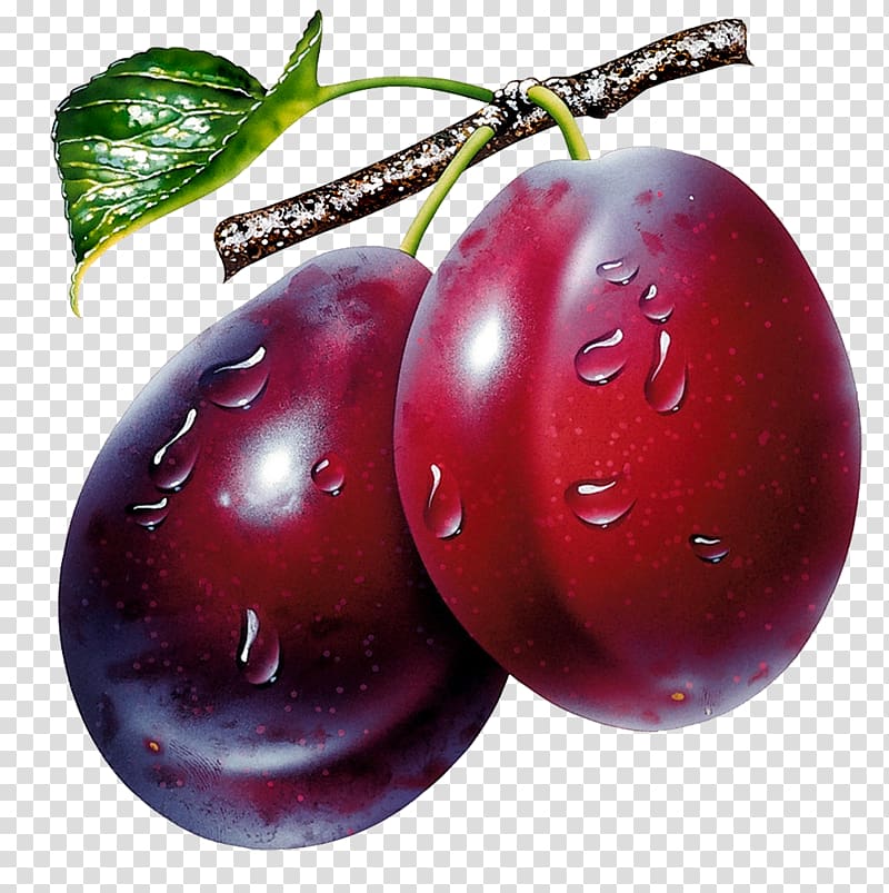 fresh fruits, Plum , Prunes transparent background PNG clipart