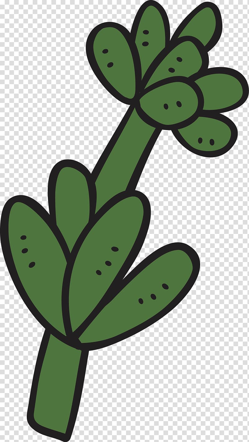 Cartoon Succulent plant Cactaceae, Part of the cactus transparent background PNG clipart