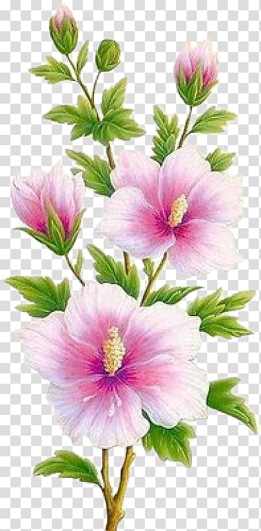 Decoupage Flower Art Floral design, PANO transparent background PNG clipart